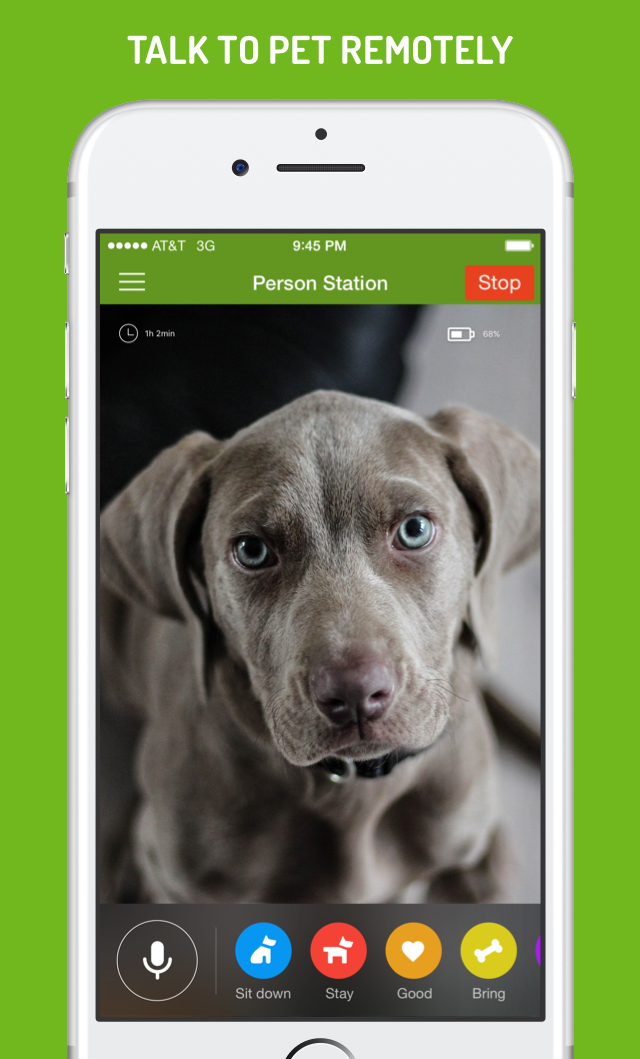 Dog Monitor app for iPhone, iPad 